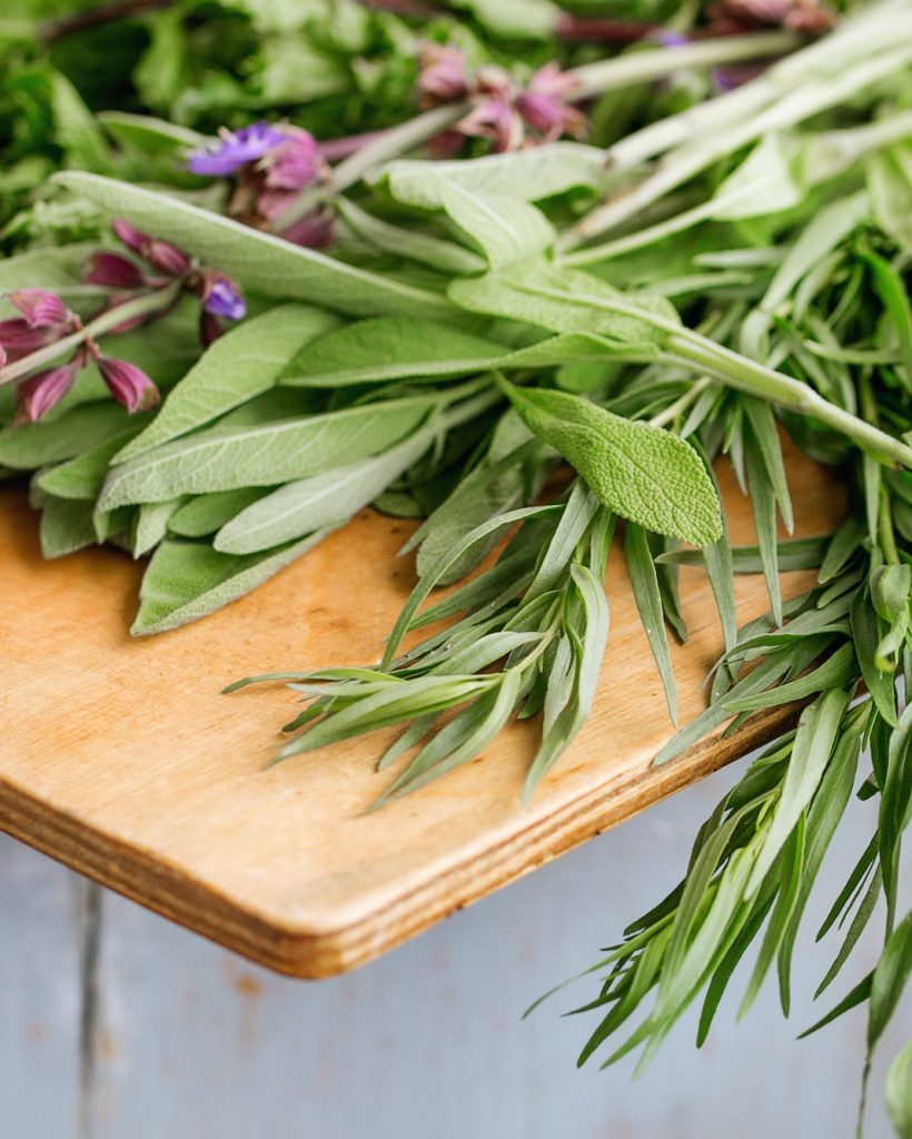 Various of garden herbs